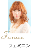 catalog_femine